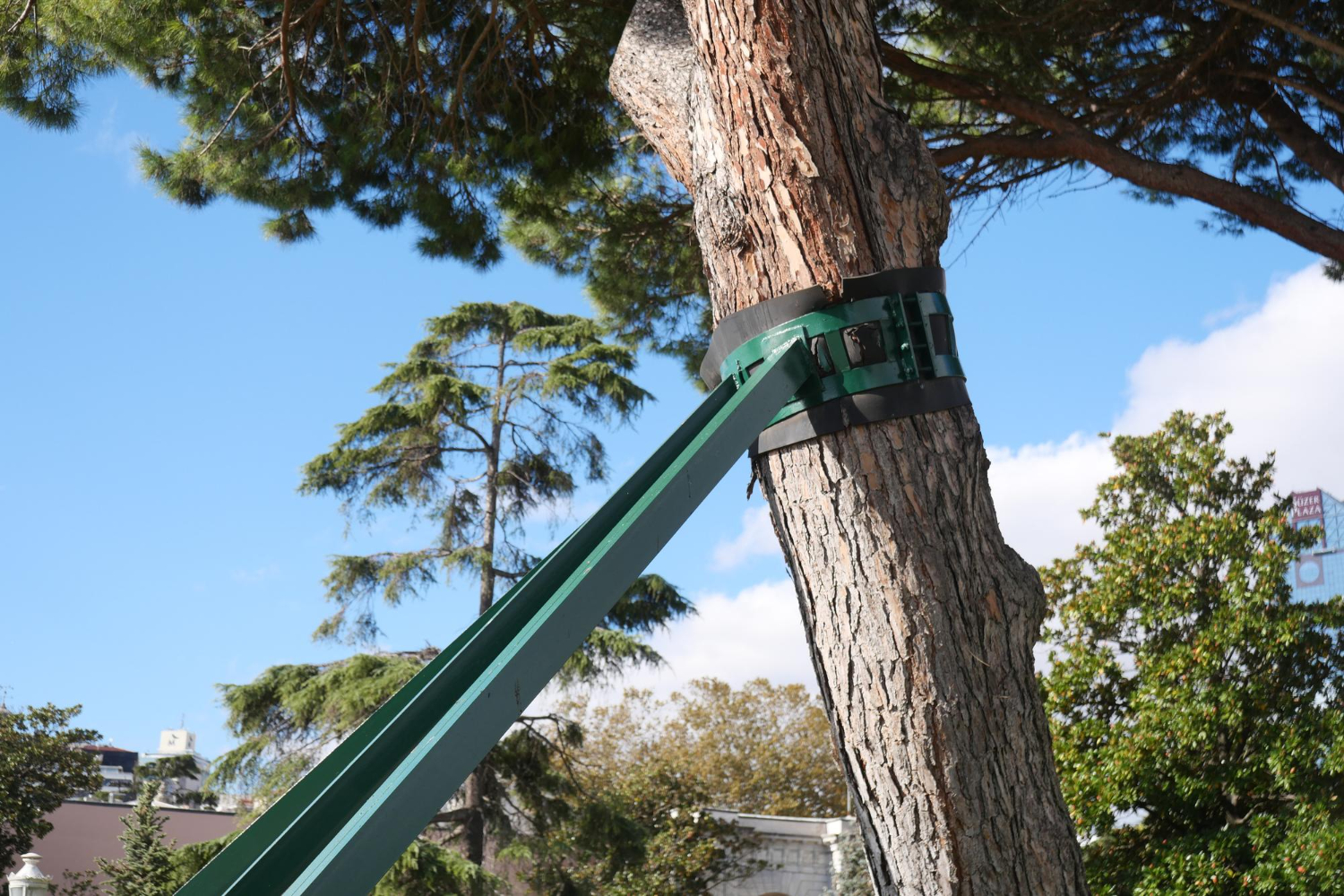 blog_img8